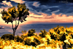 am-meer - visartis®