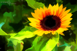der-sonne-entgegen - visartis®