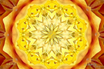 mandala-1 - visartis®
