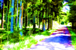 mystic-forest - visartis®