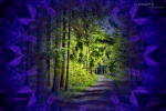 momente-der-besinnung-bild-08-design-visartis®