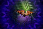 momente-der-besinnung-bild-10-design-visartis®