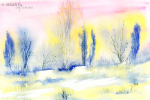 winterschaft - visartis®