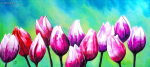 tulpenparade - visartis®