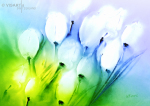 tulpen-im-wind - visartis®
