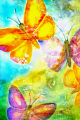 sommerwind - visartis®