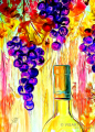 weinlese - visartis®