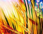 erntezeit - visartis®