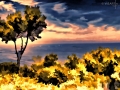 am-meer - visartis®