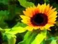 der-sonne-entgegen - visartis®