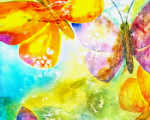 sommerwind - visartis®