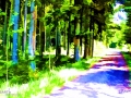 mystic-forest - visartis®