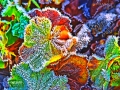winterblaetter - visartis®