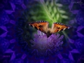 momente-der-besinnung-bild-10-design-visartis®